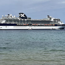 Celebrity Infinity