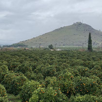Orangenplantage und die Burgkegel des Profitis Ilias