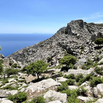 Blick nach Süden