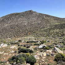 Der Prionas