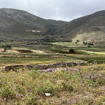 Mehr Grün