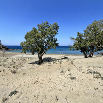 Der südöstliche Strand