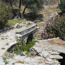 Brücke über grünes Tal