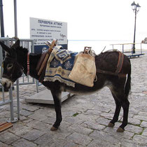 Willst du mit nach Spetses?