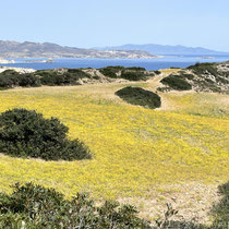 Hinten Kimolos und Sifnos