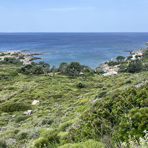 Ikaria zeigt mal wieder die grüner Seite