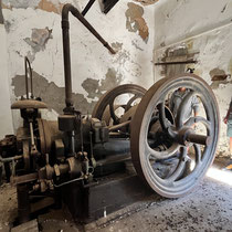 Der Dieselmotor
