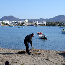 Milos: Pollonia