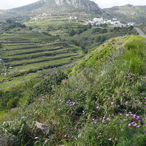 Blick auf Koumaros