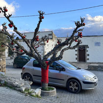 Weihnachtliches