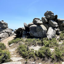 Naturkunst