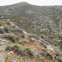 Terrassiertes Tal