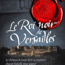 Calligraphie texturée pour le titre d'une série de romans historiques chez Flammarion