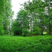 Blick in das Naturschutzgebiet