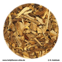 Angelikawurzel (Angelicae archangelicae radix)