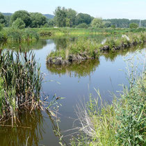 Bruchlandschaft