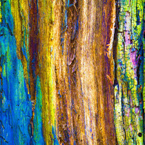 Patina