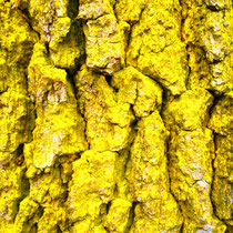 I NEED Yellow