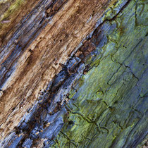 Wabi-Sabi