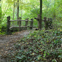 Weg zum Grötzinger Baggersee