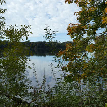 Der Grötzinger Baggersee