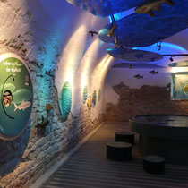 "Aquarium"
