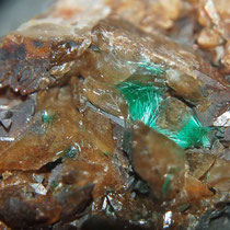 Malachitkristalle auf Calcit