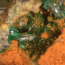 Malachitkristalle auf Limonit  BB 4 mm