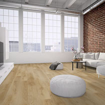 Holz DESB-20