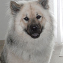Akemi