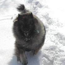 Bewegung im Schnee!