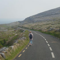 Le Burren: plateau rocheux gigantesque, aux allures quasi lunaires.