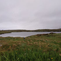 Ile de South Uist - Semble la plus défavorisée, tout est plat, beaucoup d'eau, des maisons très éparpillées.