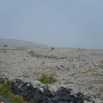 Le Burren s'étend des falaises de Moher à Kinvara.