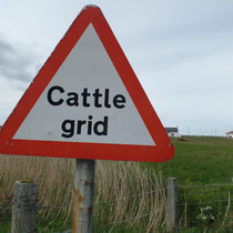 Le cattle grid..
