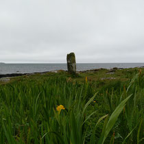 Ile de South Uist - Polachar: une pierre debout.