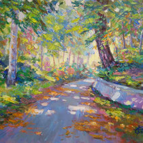 Giochi di luce - olio su tela 50x40 (Cod.239)