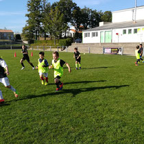 Stagiaires en action sous le beau soleil de Bouaine