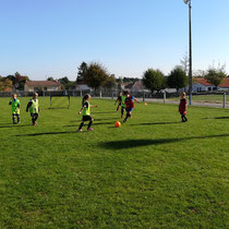 Stagiaires en action sous le beau soleil de Bouaine