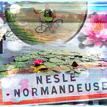 Reco à Nesle Normandeuse (dép76 - 45km - Mar16/08/2022)