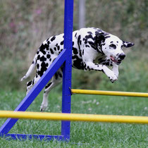 Agility