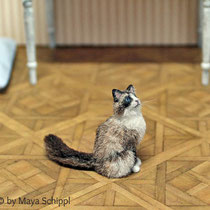 1:12 RAGDOLL CAT