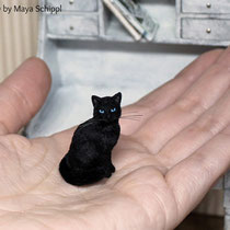 1:12  BLACK CAT WITH BLUE EYES