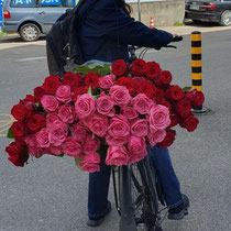 Annemarie Heiniger with roses for Basel