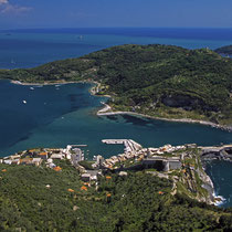 Palamaria