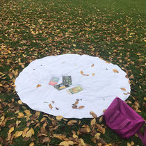Expedition im Bachwiesenpark, 5. Kl. SH Altstetterstrasse, Nov.  2020
