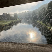«Gimpel unterwegs» - Traubenernte auf dem Schiiterberg, September 2023