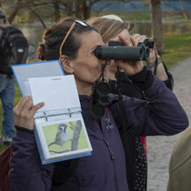 «Was fliegt denn da?» Rund um die Werdinsel, Foto Reto Schlatter