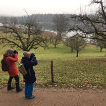 «Ausfliegen mit Gimpel» - Chatzensee, Dezember 2021