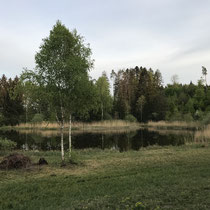 «Ausfliegen mit Gimpel», Schutzgebiet Wildert bei Illnau, April 2020